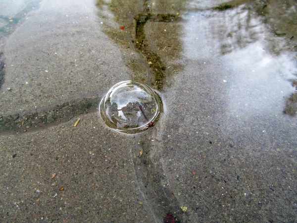 雨の後の水たまりの中の泡 — ストック写真