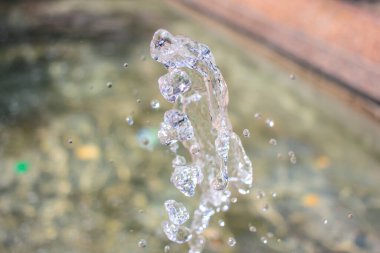 Parktaki bir fıskiyede su fışkırıyor.