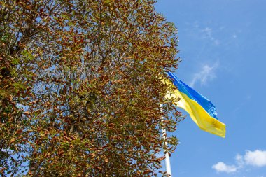 Gökyüzünün arka planında Ukrayna 'nın sarı ve mavi bayrağı