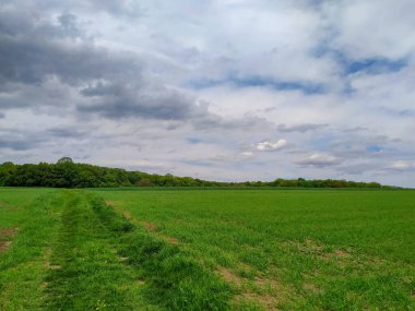 Ağustosta tarlada güzel bir manzara