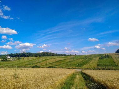 Ağustosta tarlada güzel bir manzara
