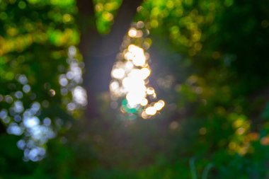 Parkta odağını kaybetmiş renkli güneş ışınları