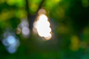 Parkta odağını kaybetmiş renkli güneş ışınları