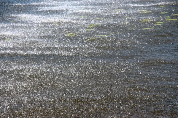 Getti Acqua Una Fontana Della Città Agosto — Foto Stock