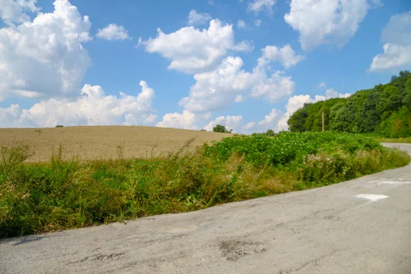 Pole Pszenicy Gdzie Zboże Zostanie Wkrótce Zebrane Sierpniu — Zdjęcie stockowe