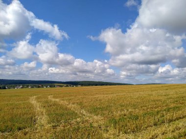 Yakın zamanda hasat edilen buğdaylı sarı tarla.