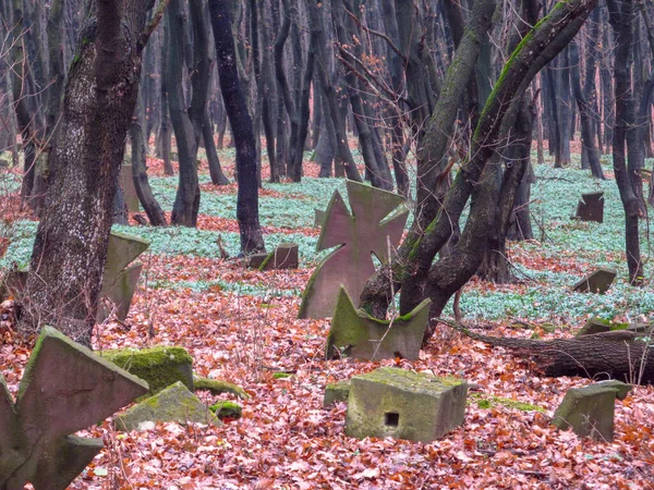 Cemitério Cristão Católico Floresta Outono Ucrânia Aldeia Strusiv — Fotografia de Stock