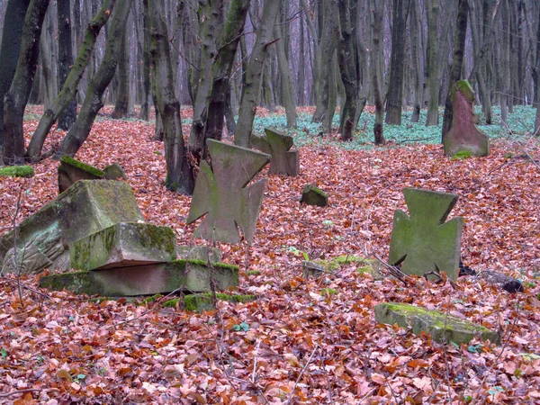 Cemitério Cristão Católico Floresta Outono Ucrânia Aldeia Strusiv — Fotografia de Stock