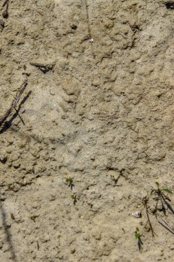 Sıcak havada taş ocağında sarı kum dokusu