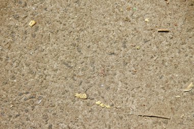 Parktaki asfalt patikasının dokusu