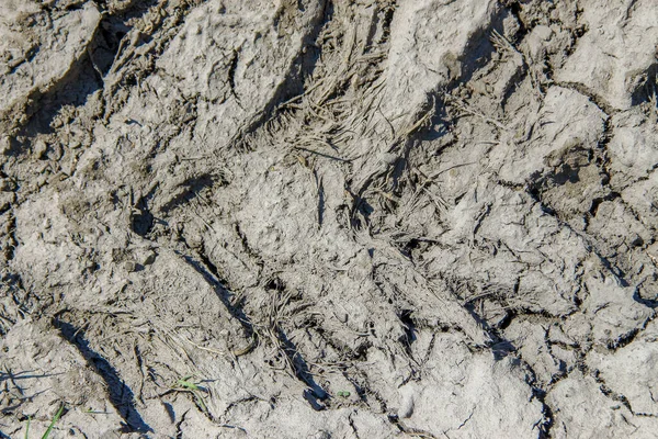 Textura Žlutého Písku Lomu Horkého Počasí — Stock fotografie