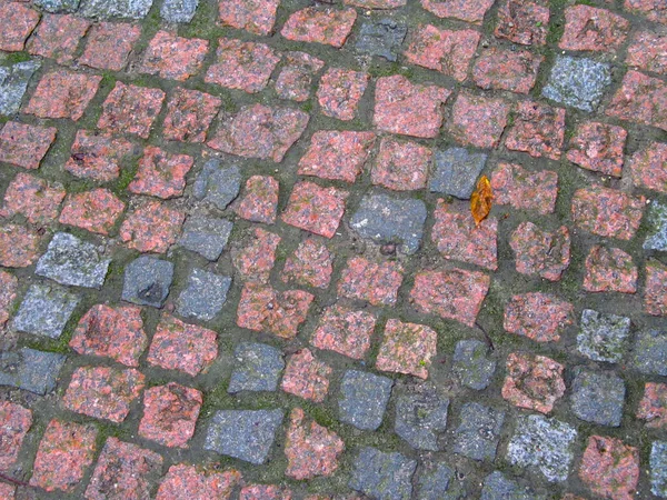 Texture Concrete Pavement Sidewalk Backgrounds — Stock Photo, Image