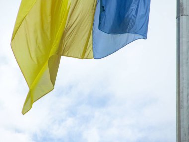 Ukrayna 'nın sarı ve mavi bayrağı bulutlu bir havada parktaki bayrak direğinde