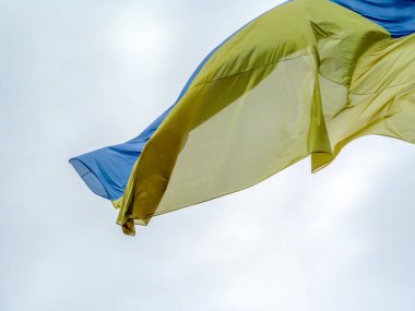 Ukrayna 'nın sarı ve mavi bayrağı bulutlu bir havada parktaki bayrak direğinde