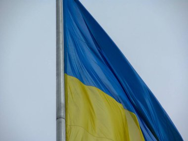 Ukrayna 'nın sarı ve mavi bayrağı bulutlu bir havada parktaki bayrak direğinde