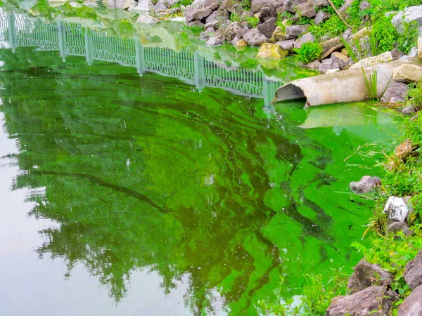 Groen Vuil Water Dat Uit Een Pijp Een Rivier Stroomt — Stockfoto