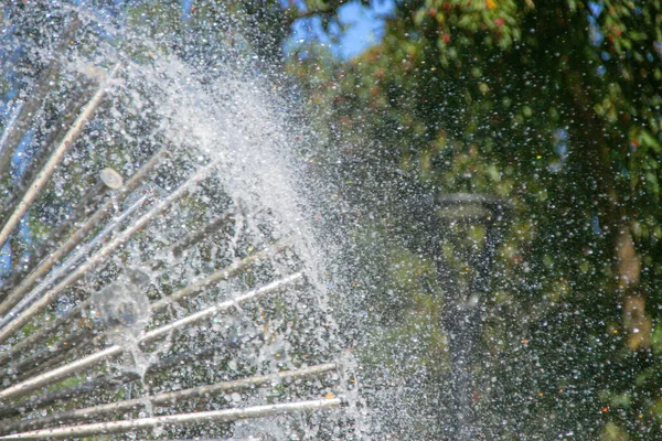 Prachtige Waterstralen Een Fontein Bij Warm Weer Juli — Stockfoto