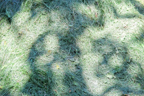 庭の緑の乾いた草の山 — ストック写真