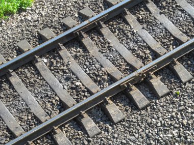 Ağustos 'ta trenler ve yeşil çimenler için raylar