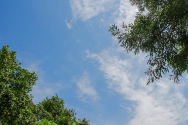 Güzel havada mavi yaz gökyüzü