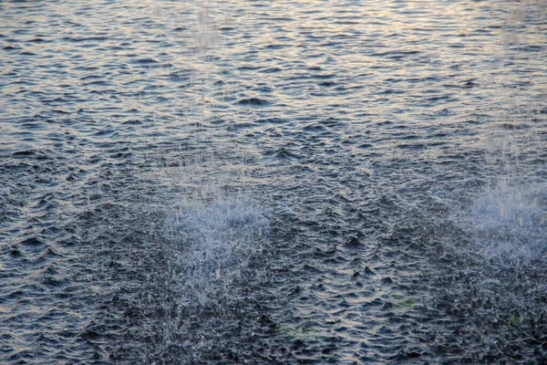Water jets of a city fountain on a pond