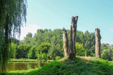Parkta güzel doğa ve ağustosta yeşil ağaçlar