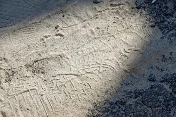 Footprints Sand Park — Stock Photo, Image
