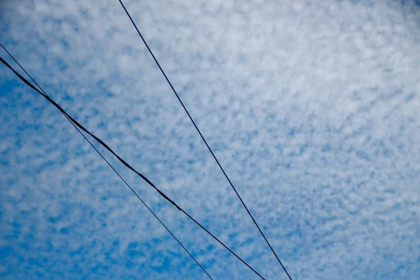 Lignes Électriques Sur Fond Ciel — Photo