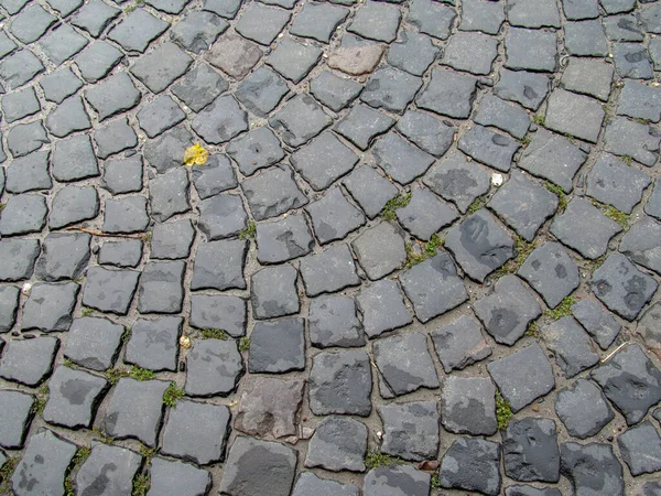 Texture of concrete pavement on the sidewalk for backgrounds