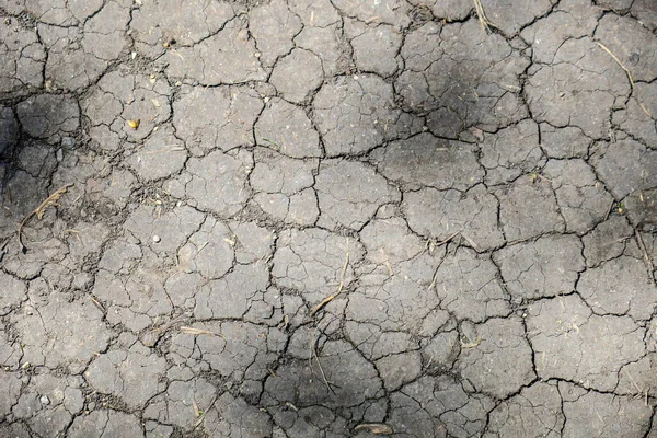 Gris Sequía Agrietado Tierra Para Fondo — Foto de Stock