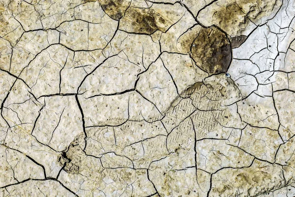 Beautiful Texture Cracked Earth Rain — Stock Photo, Image