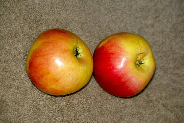 Sarı Kırmızı Lezzetli Elmalar — Stok fotoğraf