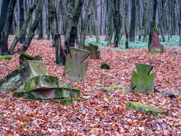 Antigo Cemitério Floresta Outono — Fotografia de Stock
