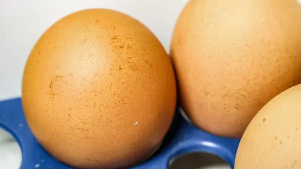 Ayam Kuning Telur Lemari Dapur — Stok Foto