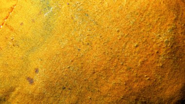 Arılar için eski renkli yastık