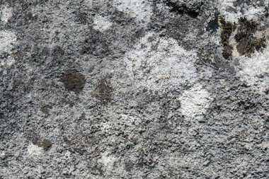 Eski gri kumtaşının dokusu