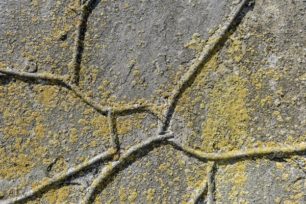 Pleister Van Oude Muur Van Oude Tempel — Stockfoto