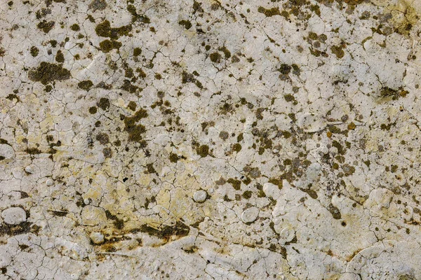 Textura Piso Concreto Antigo — Fotografia de Stock