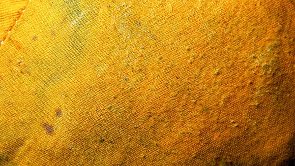 Arılar için eski renkli yastık