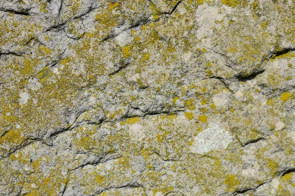 Textuur Van Oude Geelachtige Zandsteen — Stockfoto