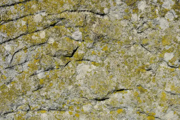 Текстура Старого Желтоватого Песчаника — стоковое фото