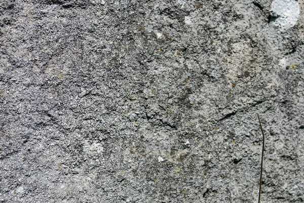 Texture Old Gray Sandstone — Stock Photo, Image