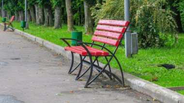 Yağmurdan sonra parkta kırmızı tahta bank