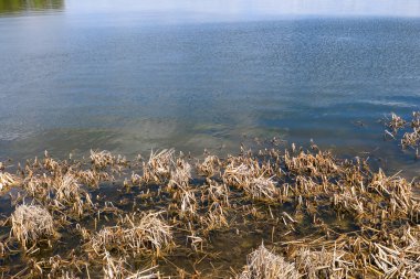 İlkbaharda Ternopil gölünde su