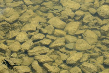 İlkbaharda su tezgahındaki taşlar