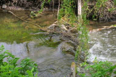 İlkbaharda tatlı su nehrinde akıntı