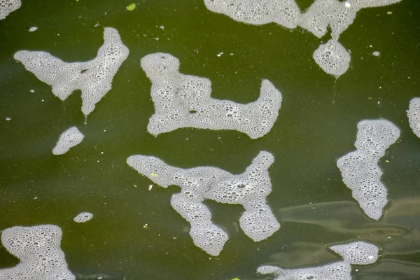 Ternopil池塘里的水 — 图库照片