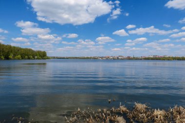 Mavi gökyüzü ve gri bulutlar güzel havada ormandaki ağaçların arka planında