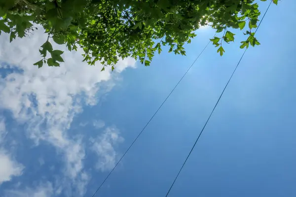 Ciel Bleu Nuages Blancs Par Beau Temps Été — Photo