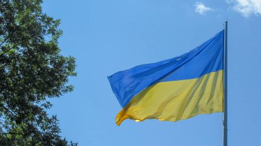 Ukrayna 'nın sarı ve mavi bayrağı rüzgarda dalgalanıyor.